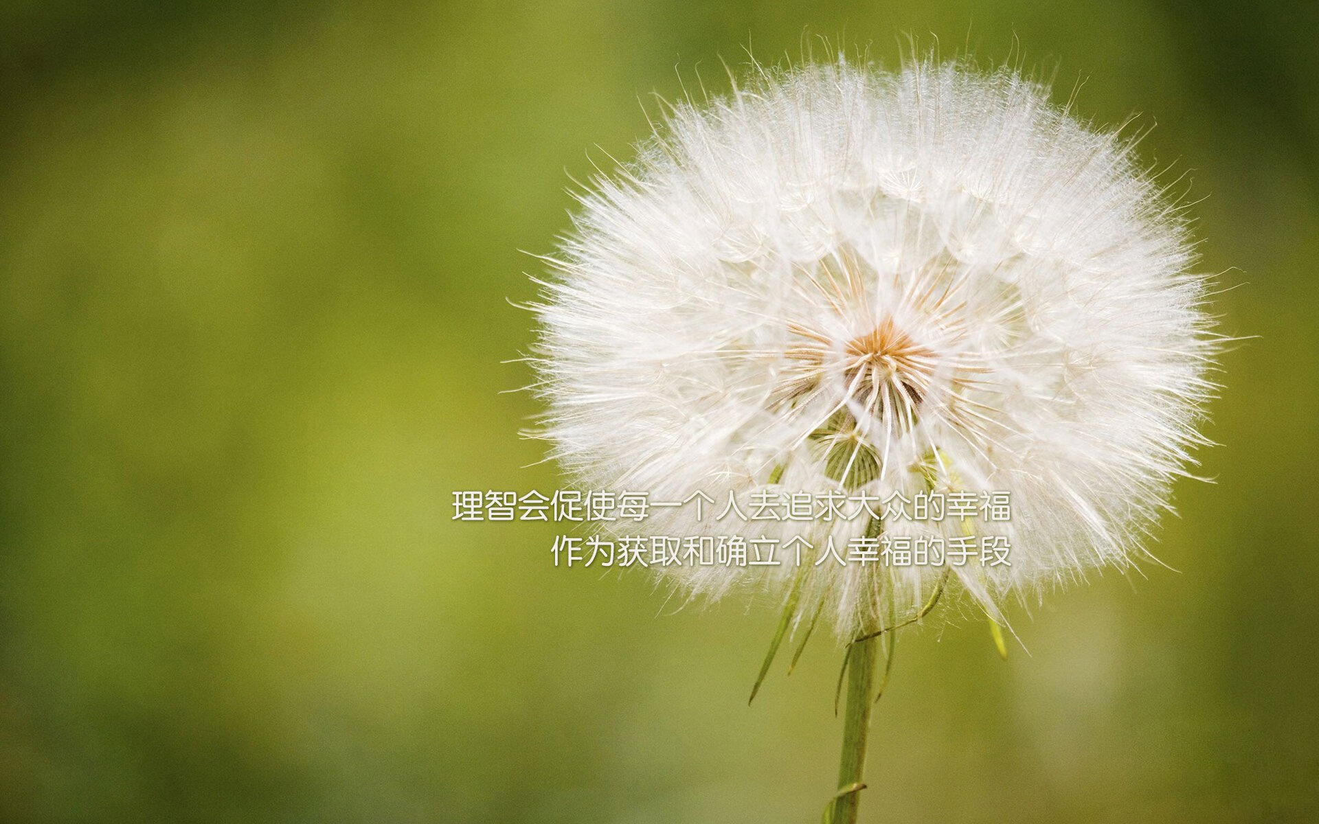 库里爆发与步行者战术，双重视角下的现代篮球博弈